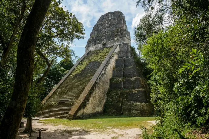 a large pyramid in the middle of a forest